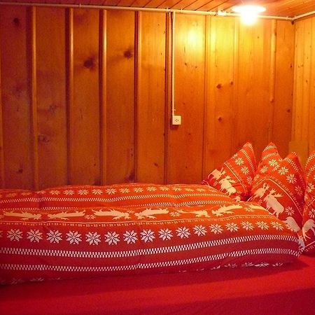 Apartment Lindi Lütschenthal 部屋 写真