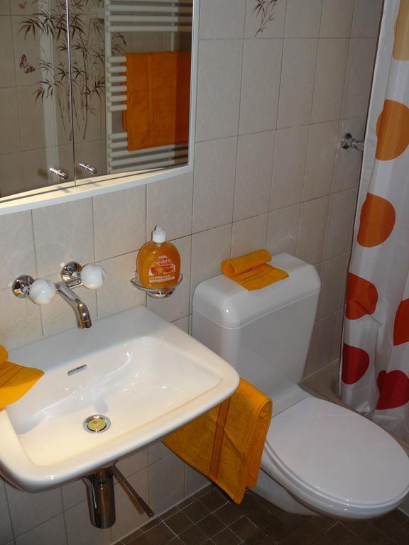 Apartment Lindi Lütschenthal 部屋 写真