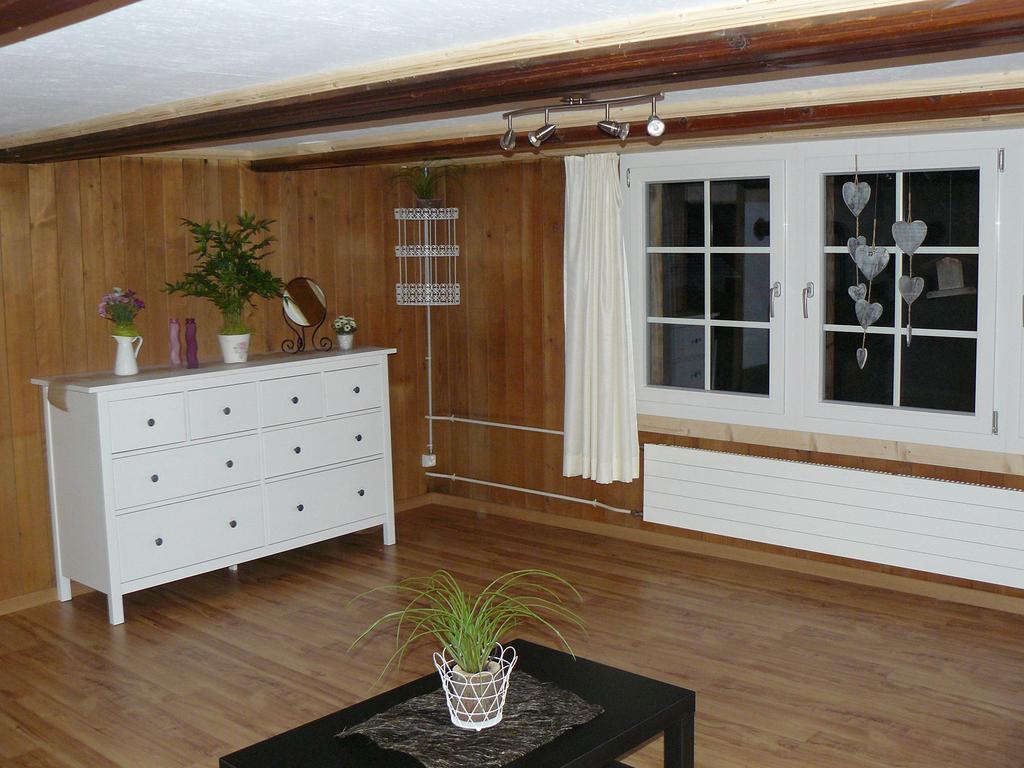 Apartment Lindi Lütschenthal 部屋 写真